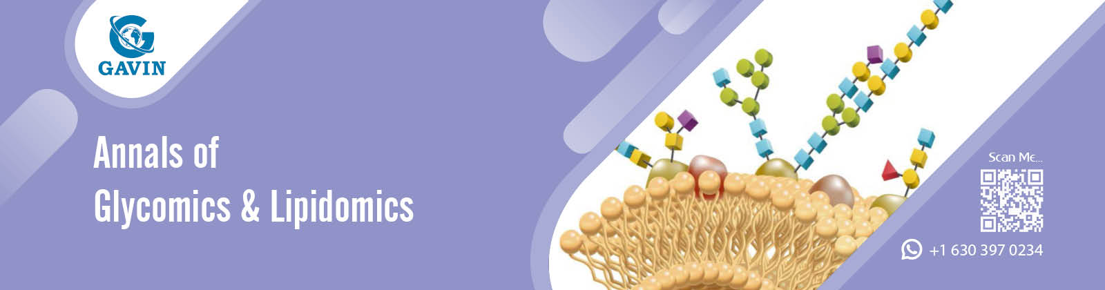 							Glycomics & Lipidomics 2