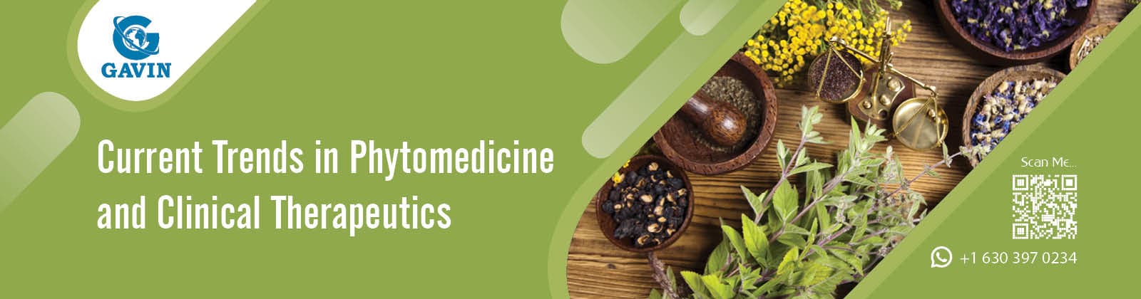 							Phytomedicine and Clinical Therapeutics 2