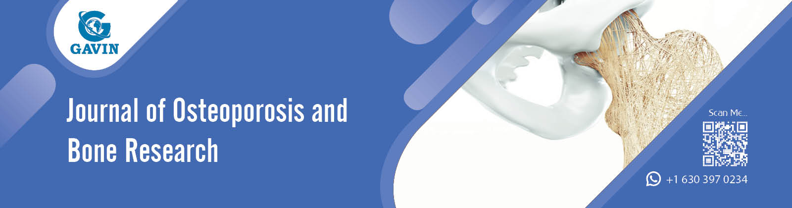 Journal of Osteoporosis and Bone Research
